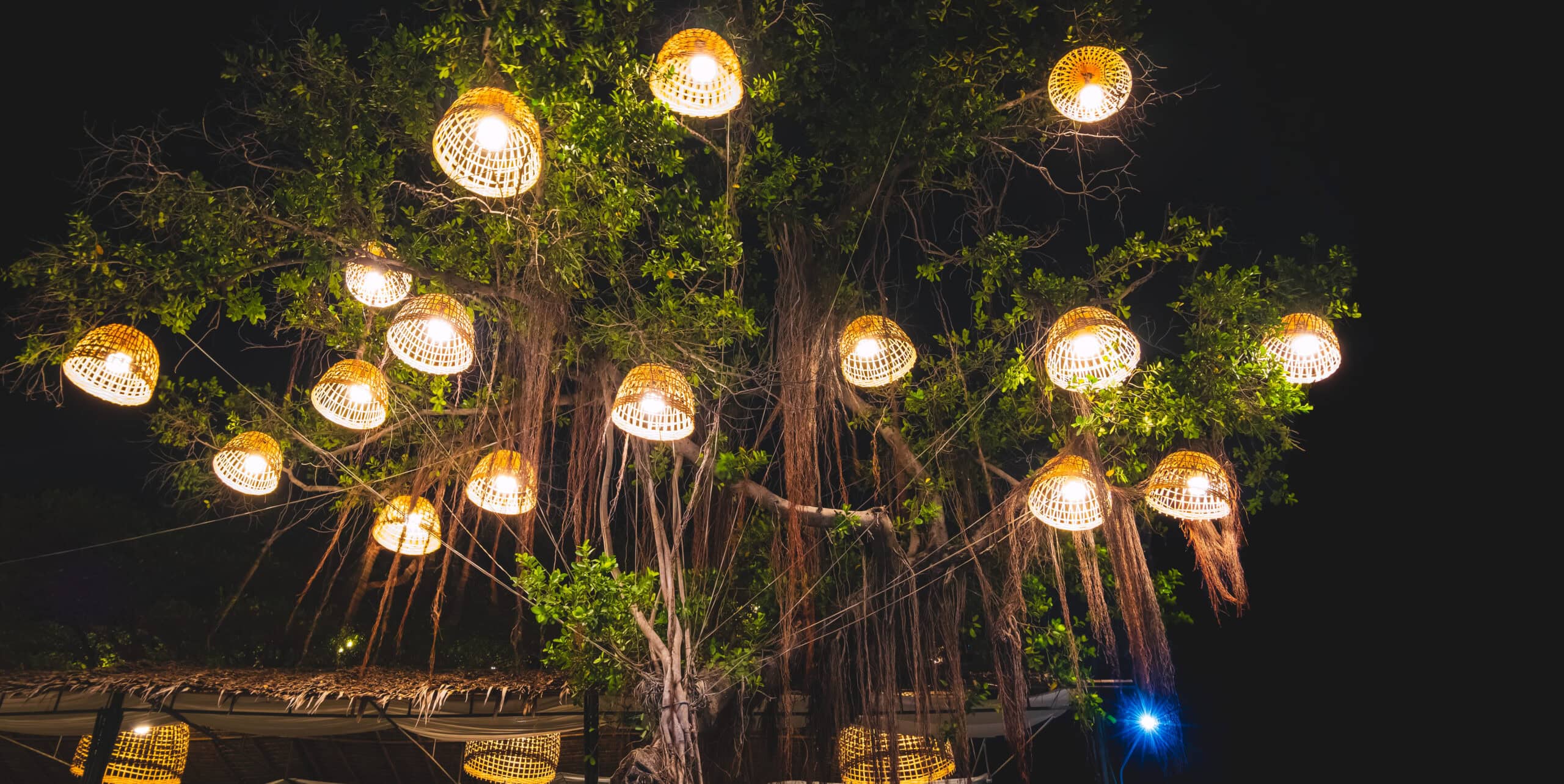 Outdoor Lights